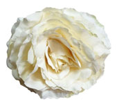 King Large Rose. White Flamenco Flower. 17cm 7.480€ #504190119BCO